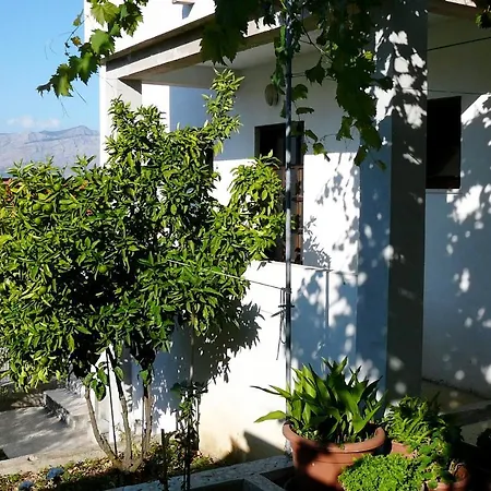 2919a Postira
